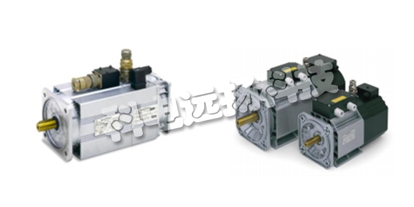 OEMER電機(jī),OEMER直流電機(jī),意大利OEMER,意大利直流電機(jī),LTS-TB